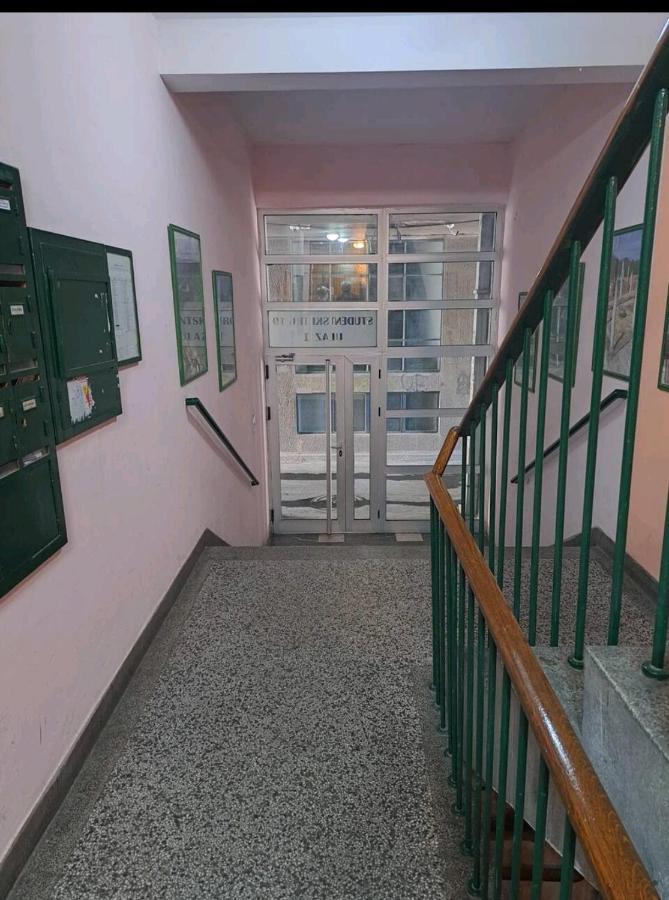 Apartman Milica 2023 Belgrade Exterior photo